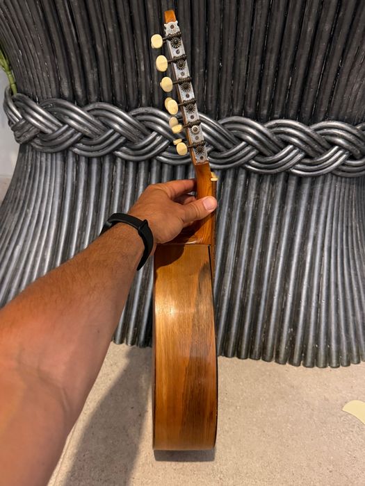 Bandurria de Telesforo Julve