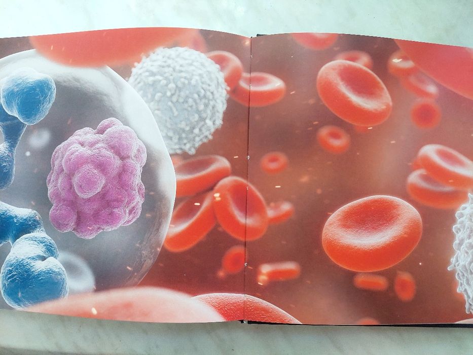 Трансмісивні хвороби собак