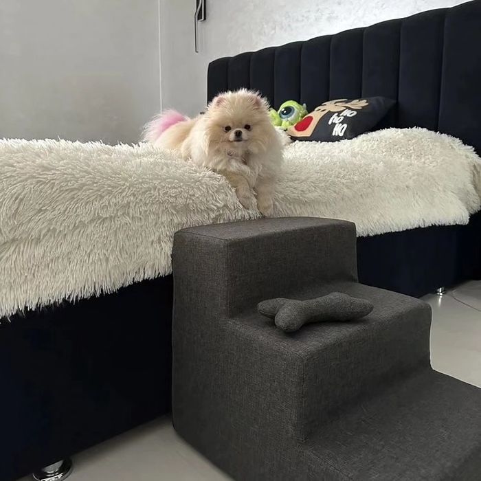 Сходинки для собак  - різна висота