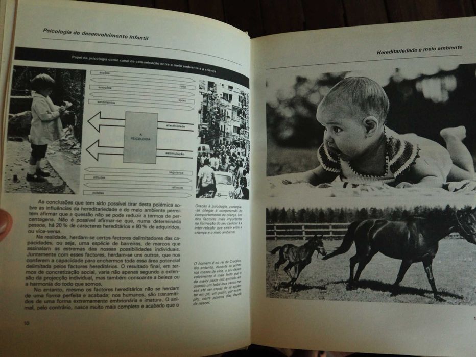 Livro do Casal, Coleção