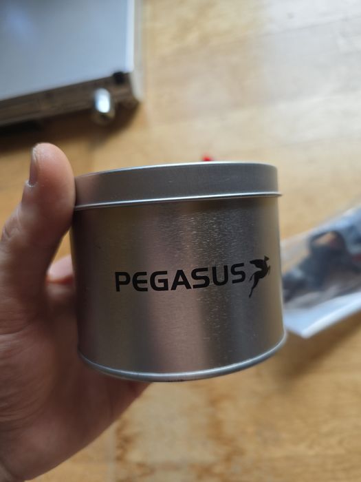 Zegarek mechaniczny pegasus