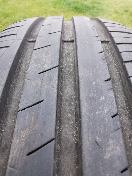 Opony letnie Dębica Presto    195/65 R15