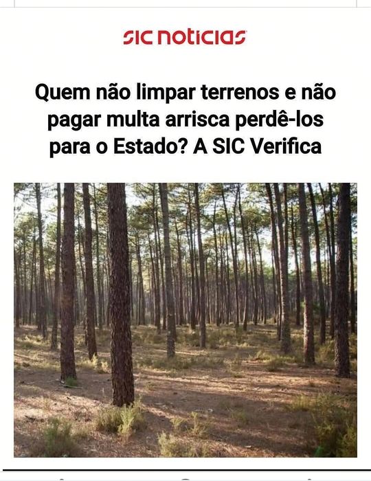 ATENÇÃO QUE O PRASO DAS LIMPEZAS TERMINA A 15 DE JUNHO DE 2026, Faço Limpeza de Terrenos e arranjos em todos os quintais Pinhais,com t