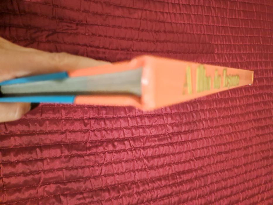 Livro Infantil - A Ilha do Tesouro