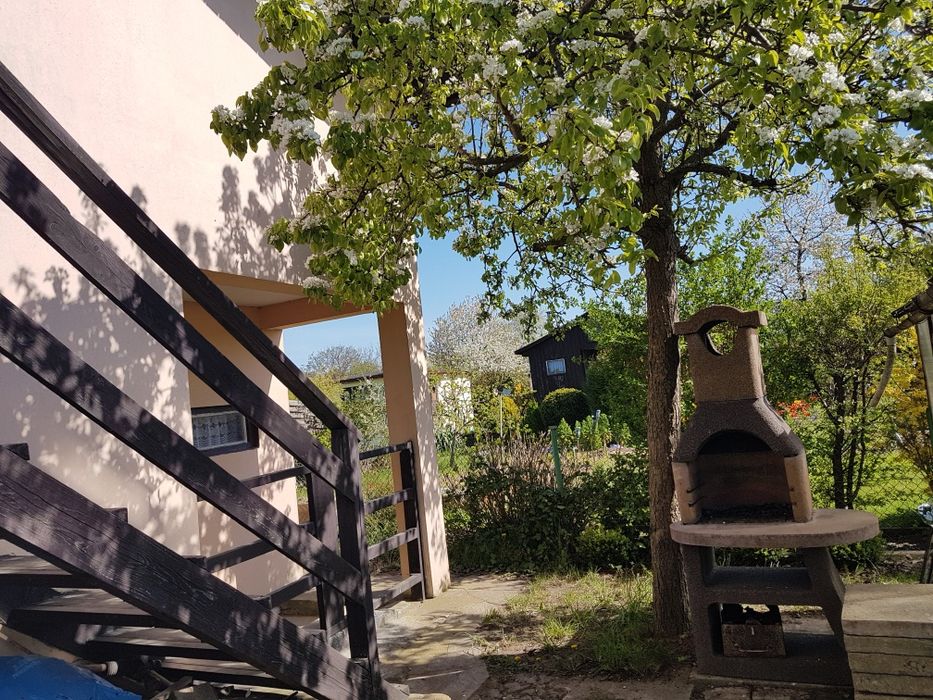 Działka ROD na sprzedaż