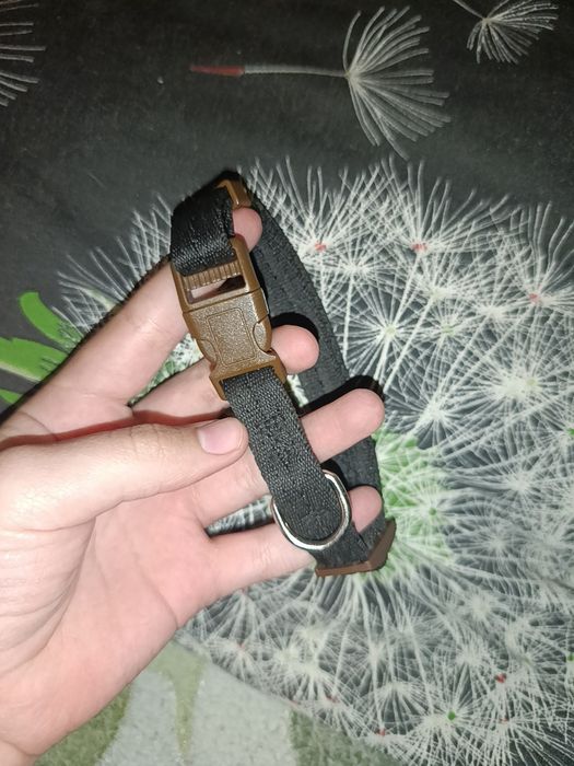 Продам Нашийник 60 грн