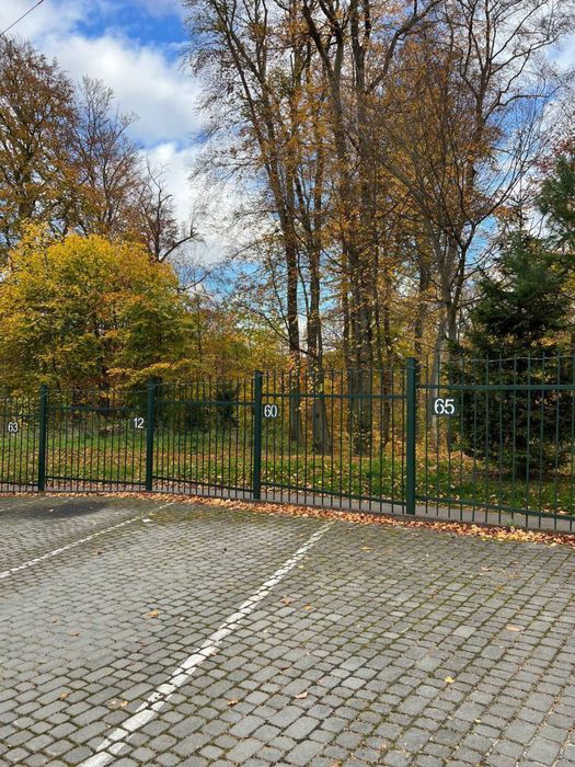 Многокомнатная квартира по адресу Олеся О. Ул.   (площадь 150 м²) - Atlanta.ua - фото 13