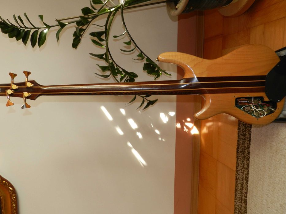 Gitara basowa aktywna Cort Artisan z futerałem