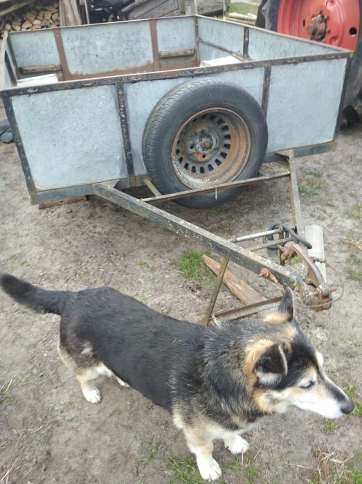 Продам причіп до машини