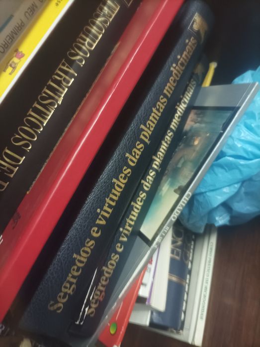 Colecção fotografia