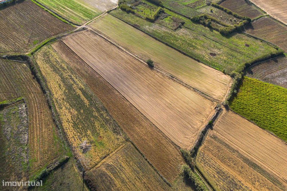 Terreno com bom potencial