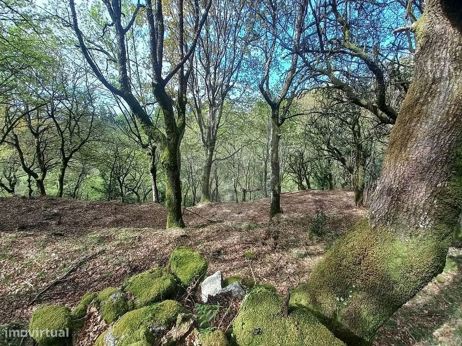 Terreno  para venda