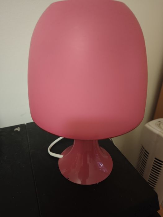 Túnel de gatos colorido