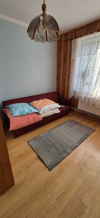 lokal do wynajęcja 50m2