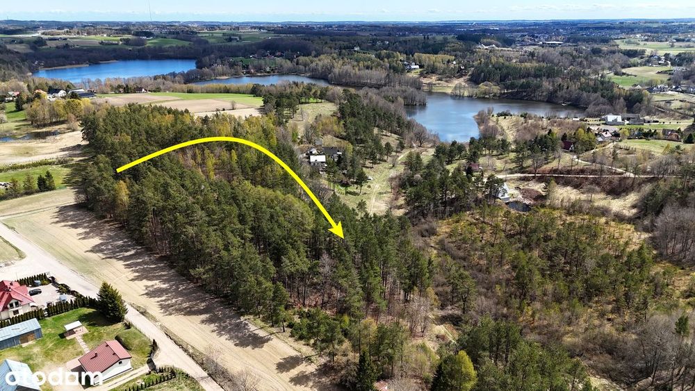 przepiękny, ogromny teren nad jeziorem w Koleczkowie - Widok 3