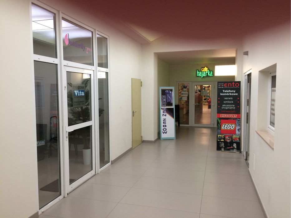 Lokal użytkowy w pasażu przy Pl. Wolności w Poznaniu