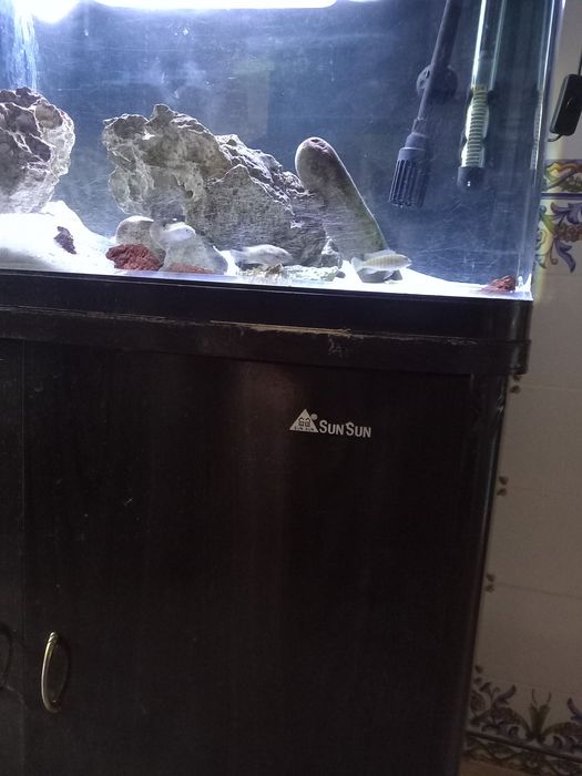 Aquário para peixes
