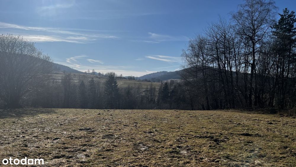 Kompleks działek 1 ha | 7500 m² pod zabudowę MU1 | Lachowice | Beskidy - Widok 5