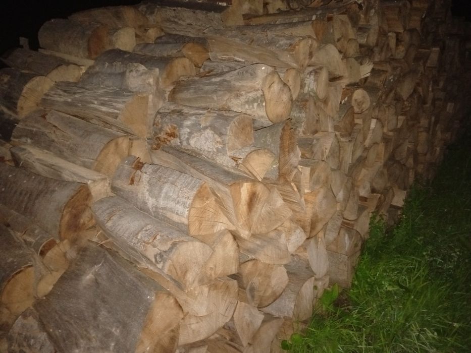 Продам дрова букові