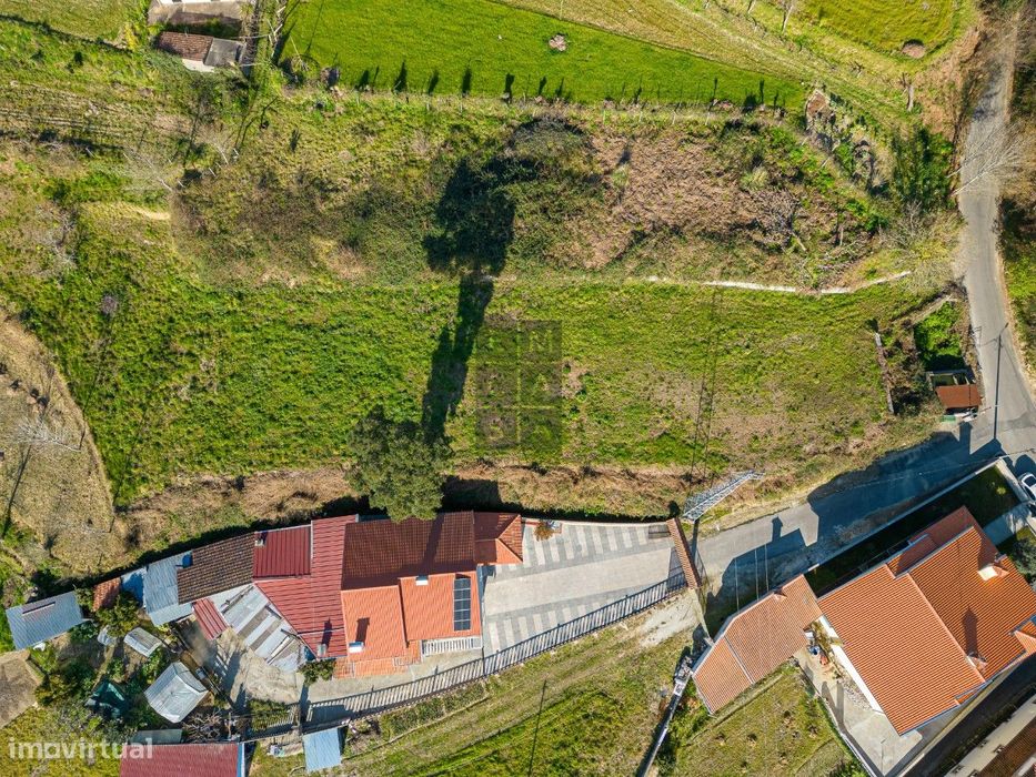 Terreno  Venda em Pinheiro da Bemposta, Travanca e Palmaz,Oliveira de