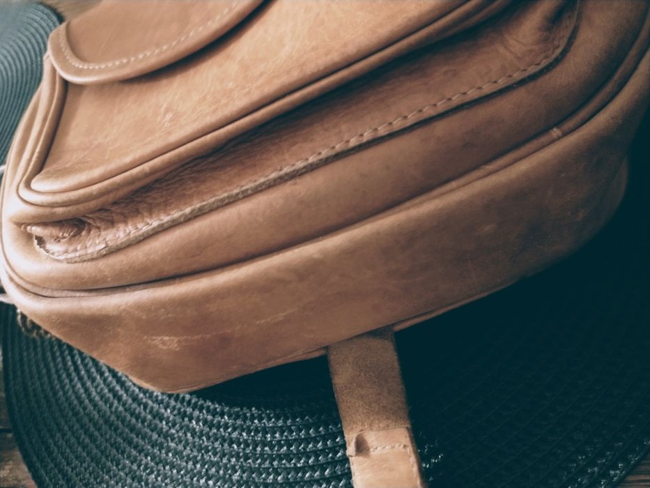 Karmelowa listonoszka