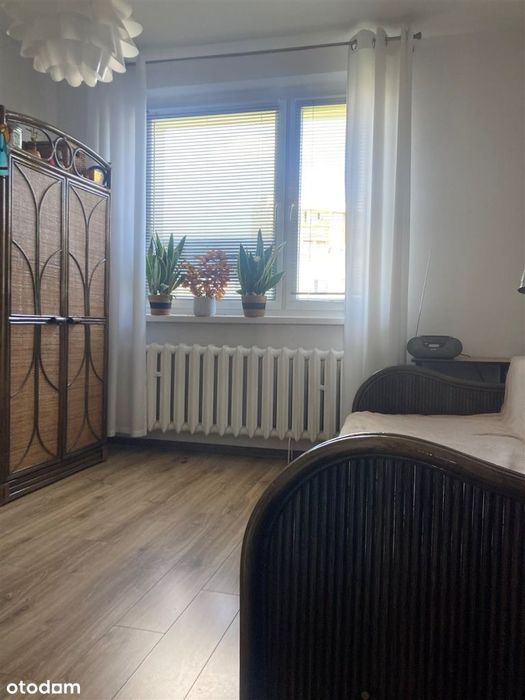 3 pokoje+balkon+niski blok XXXlecia