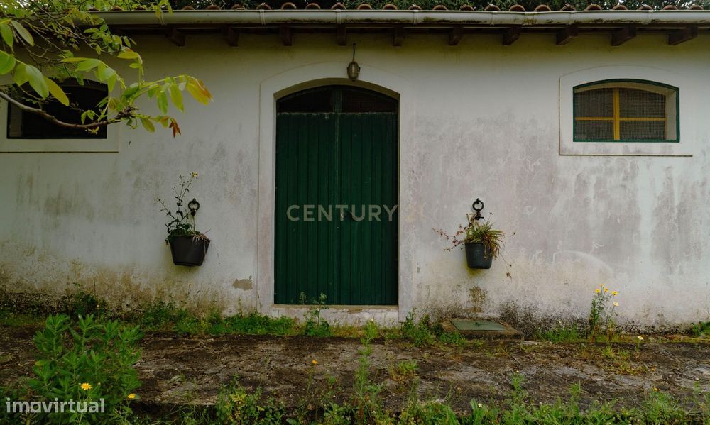 Quintinha em Alenquer com Excelente Potencial – 5,8 Hectares