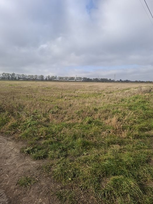 Продам Земельну Ділянку Лісові Гринівці