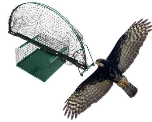 Duża klatka "skuteczna" NA PTAKI