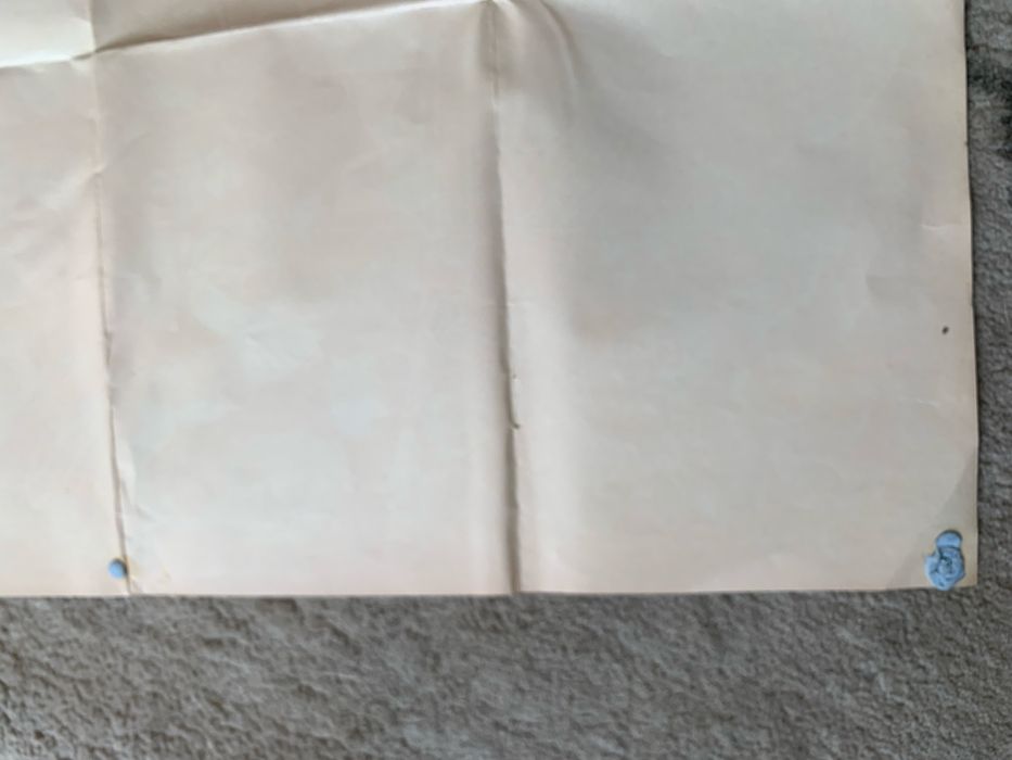 Plakat Przyjaciele i wrogowie Sknerusa