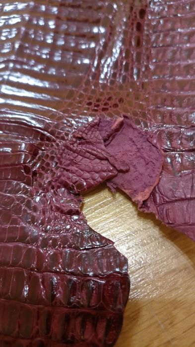 Шкіра крокодила(кайман)
