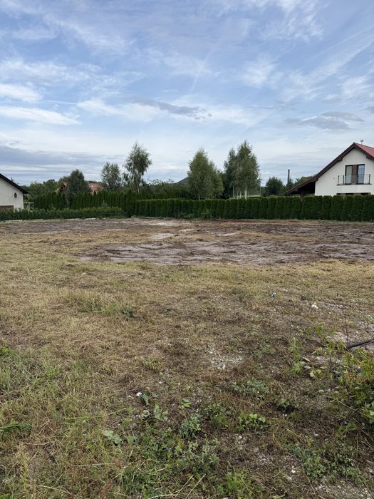 Czyszczenie Działek•Karczowanie•Koszenie•Mulczowanie