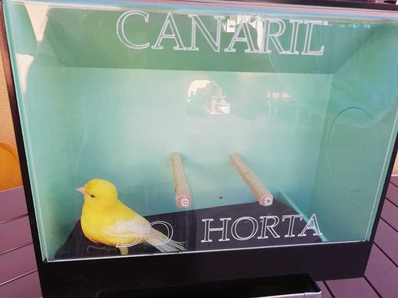 Canários (Foros de Amora)