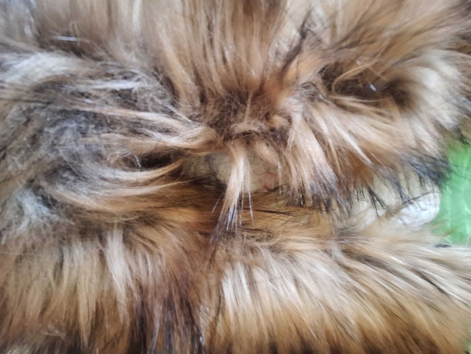 Sprzedam płaszcz pikowany zimowy okazja nowy rozmiar M