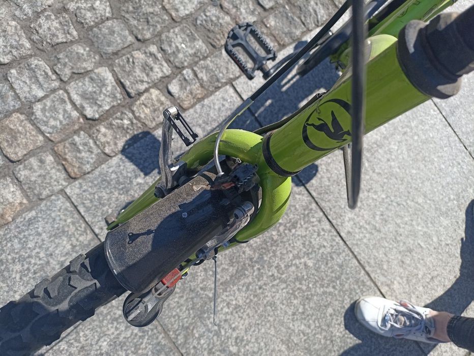 Rower Pegasus cool arcona 24"