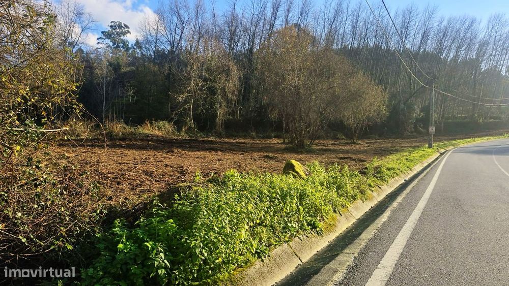 Terreno, Antime e Silvares (São Clemente)