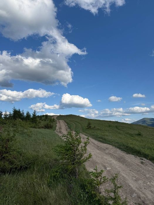 Рівна ділянка, під будову. Межує з лісом. 40 соток в Дземброні