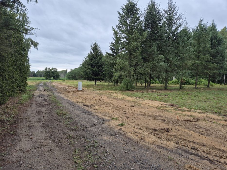 Sprzedam działki z mediami Zdziechów Nowy Kazimierz 3 maja - Widok 5