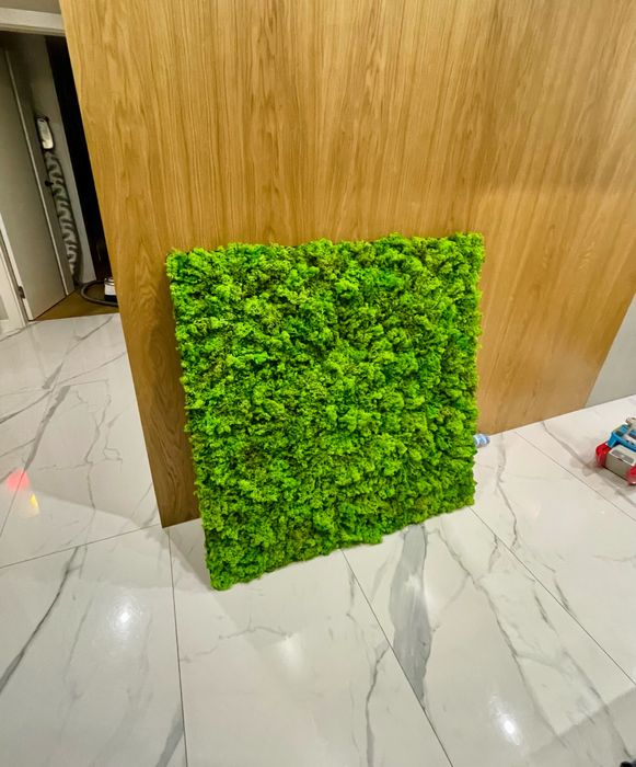 Ścianka z mchu obraz z mchu