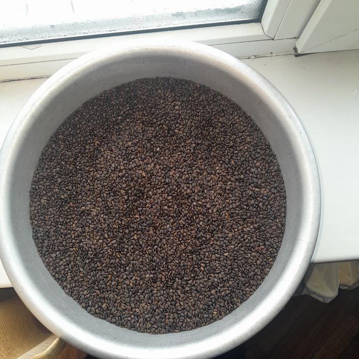 Продам насіннв  акації білої