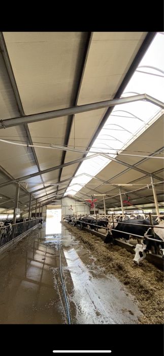 Mycie Fotowoltaiki obory bielenie nacinanie ruszt dachu elewacji