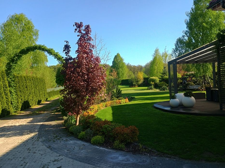 Ogrody - Brzeziny, Koluszki