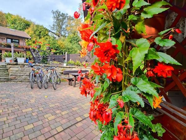 Noclegi na wynajem Wisła