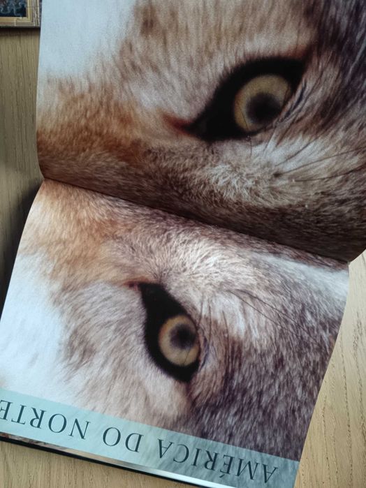 Mamíferos - Enciclopédia Ilustrada