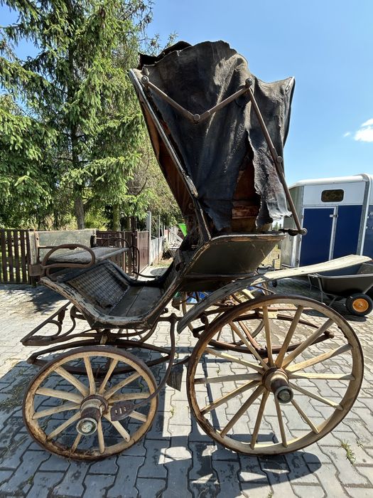 Brzyczka doktor wagen