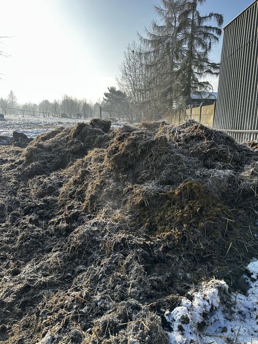 Oddam obornik koński za darmo lub za słomę tąpkowice