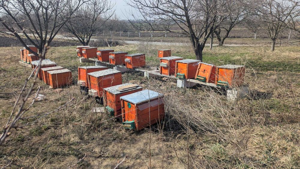 Вулики 9 рамкові