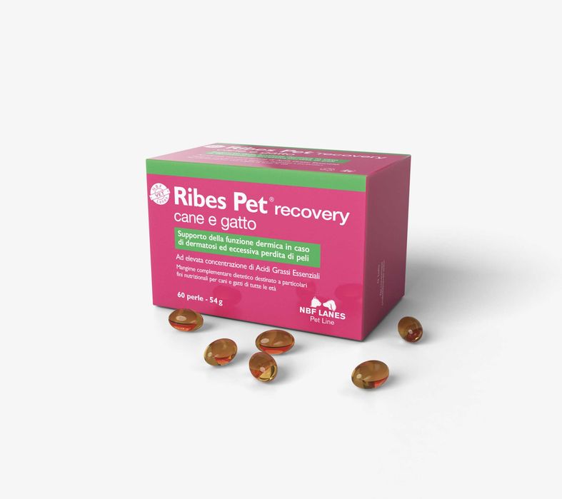 Ribes Pet recovery Cane e Gatto 60 kaps