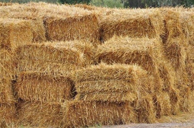 Солома в тюках продаж