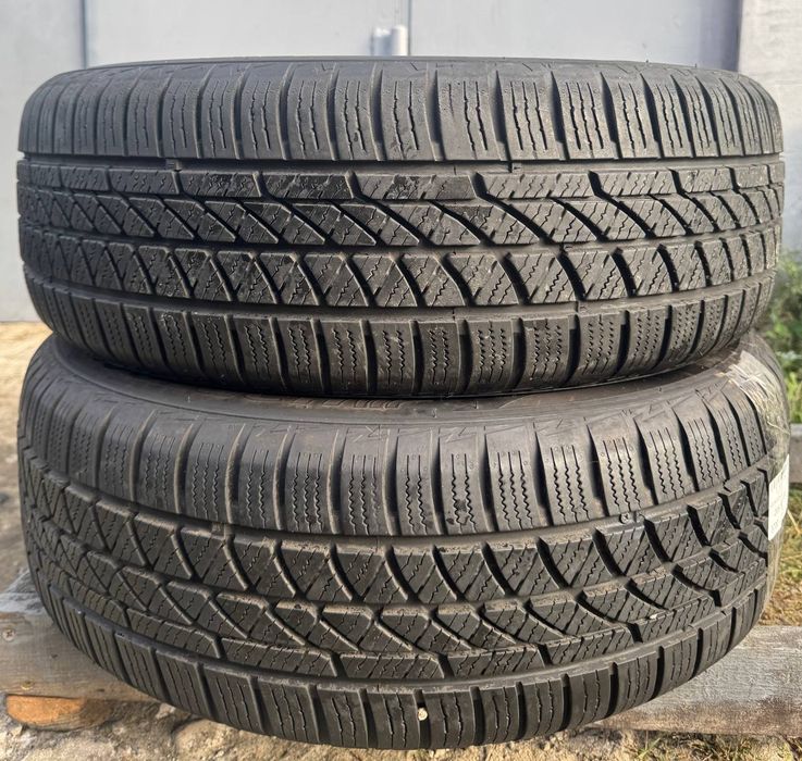 205 60 16 зима пари на вибір
